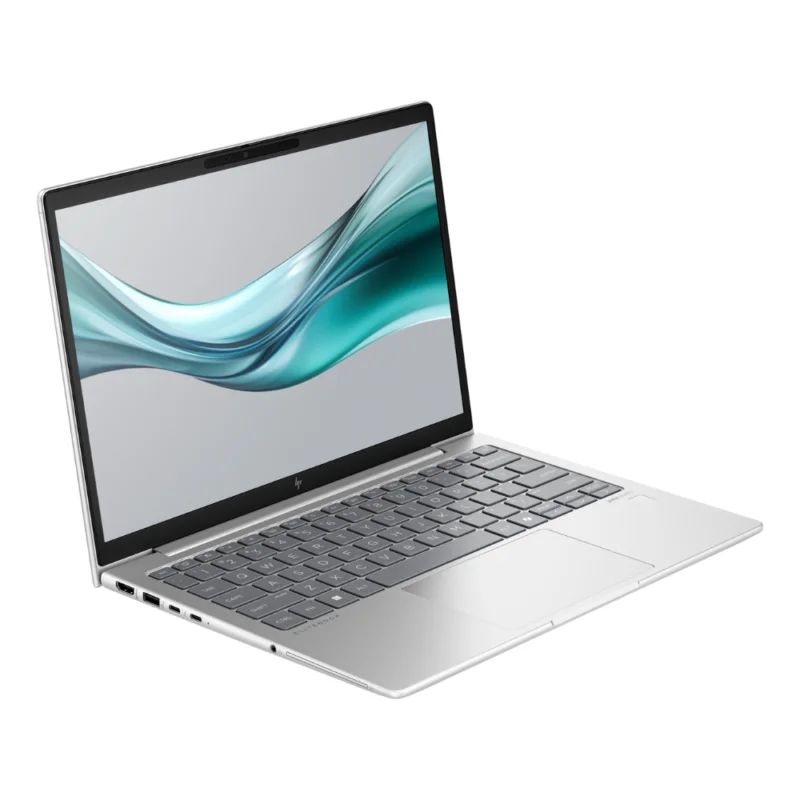 HP EliteBook 630 G10 Laptop (816M3EA#BH5)