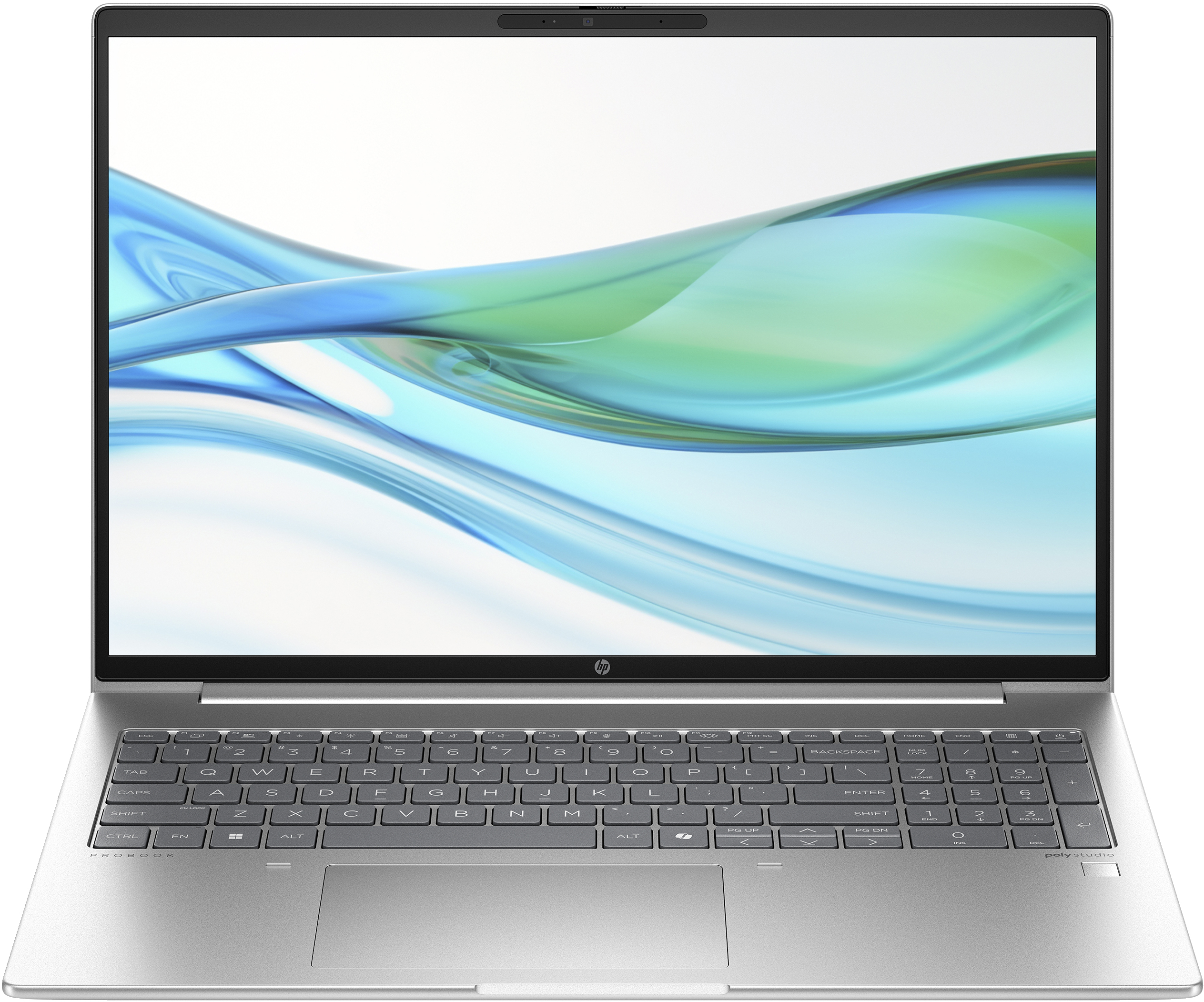 HP ProBook 460 G11  Laptop (A22ZZEA)