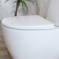 TOTO White Round Close Couple Toilet Set