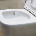 TOTO White Alisei Close Couple Toilet Set